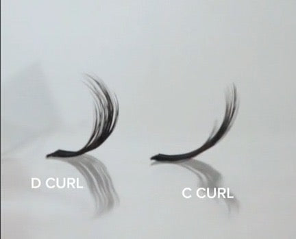 Bali D Curl Lashes